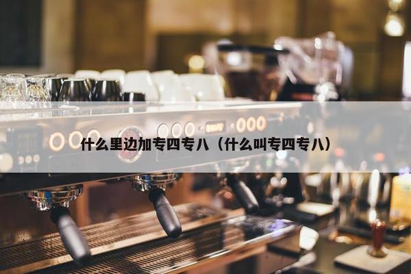 什么里边加专四专八（什么叫专四专八）
