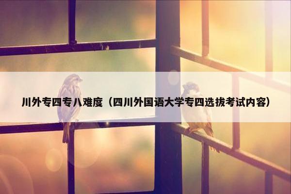 川外专四专八难度（四川外国语大学专四选拔考试内容）