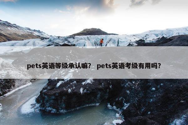 pets英语等级承认嘛？ pets英语考级有用吗？