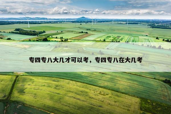 专四专八大几才可以考，专四专八在大几考