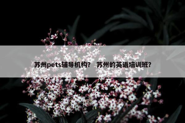 苏州pets辅导机构？ 苏州的英语培训班？