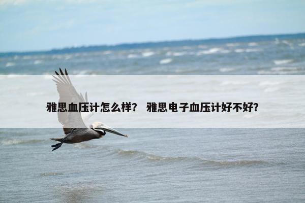 雅思血压计怎么样？ 雅思电子血压计好不好？