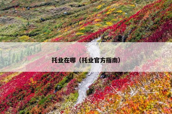 托业在哪（托业官方指南）