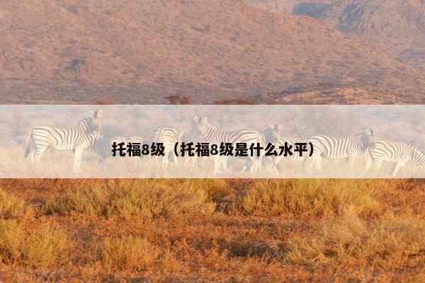 托福8级（托福8级是什么水平）