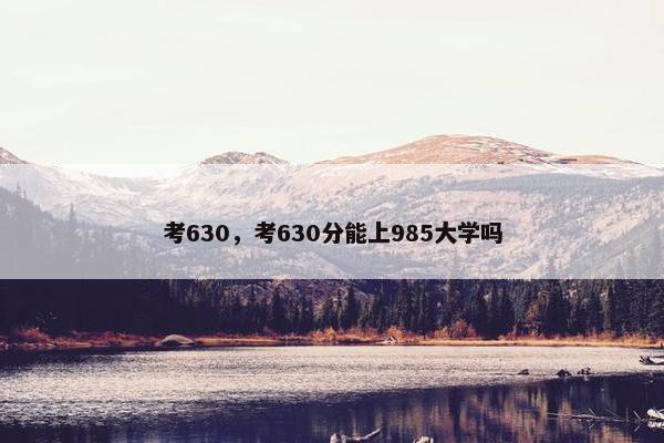 考630，考630分能上985大学吗