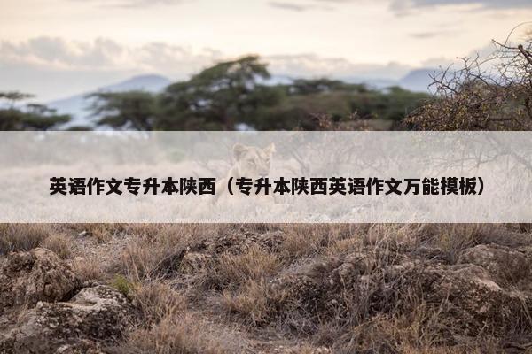 英语作文专升本陕西（专升本陕西英语作文万能模板）