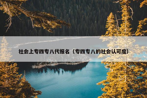 社会上专四专八代报名（专四专八的社会认可度）