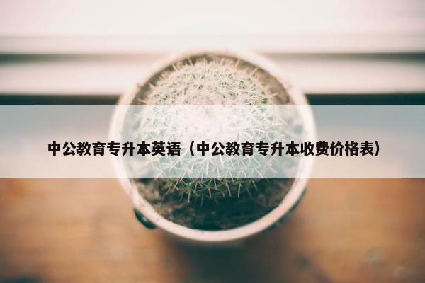 中公教育专升本英语（中公教育专升本收费价格表）