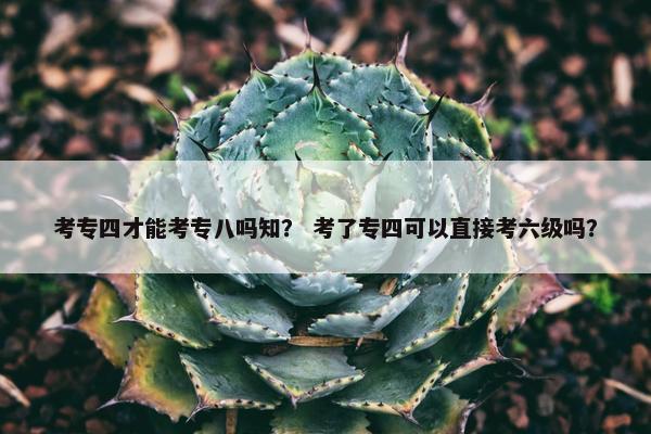 考专四才能考专八吗知？ 考了专四可以直接考六级吗？