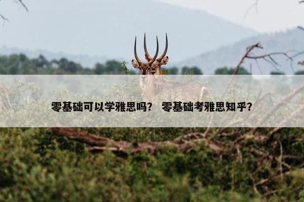 零基础可以学雅思吗？ 零基础考雅思知乎？