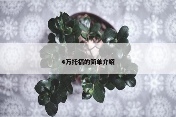 4万托福的简单介绍