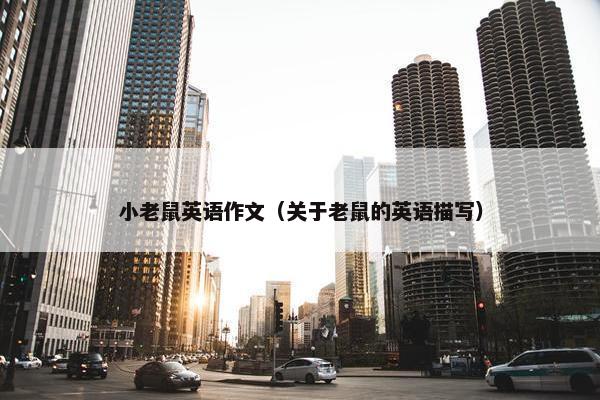 小老鼠英语作文（关于老鼠的英语描写）