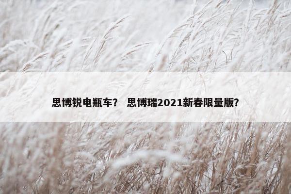 思博锐电瓶车？ 思博瑞2021新春限量版？