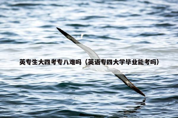 英专生大四考专八难吗（英语专四大学毕业能考吗）