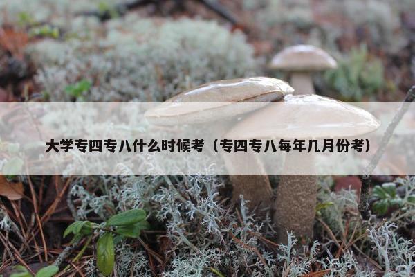 大学专四专八什么时候考（专四专八每年几月份考）