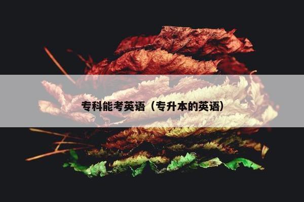 专科能考英语（专升本的英语）