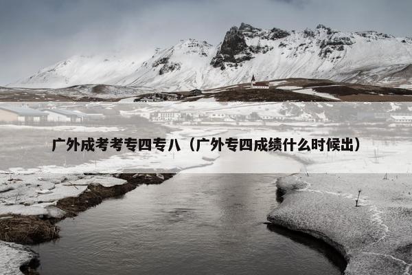 广外成考考专四专八（广外专四成绩什么时候出）