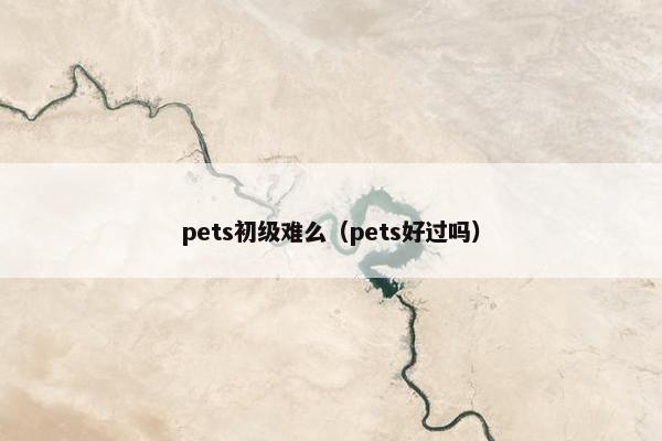 pets初级难么（pets好过吗）