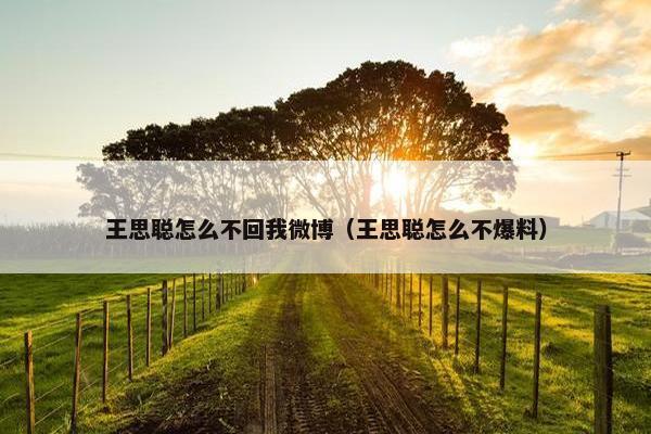 王思聪怎么不回我微博（王思聪怎么不爆料）
