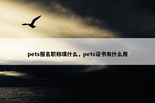 pets报名职称填什么，pets证书有什么用