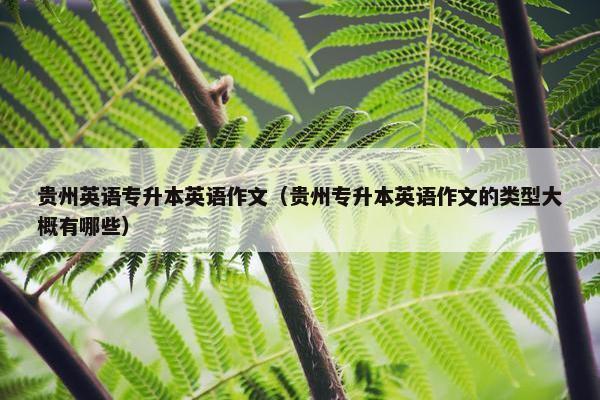 贵州英语专升本英语作文（贵州专升本英语作文的类型大概有哪些）