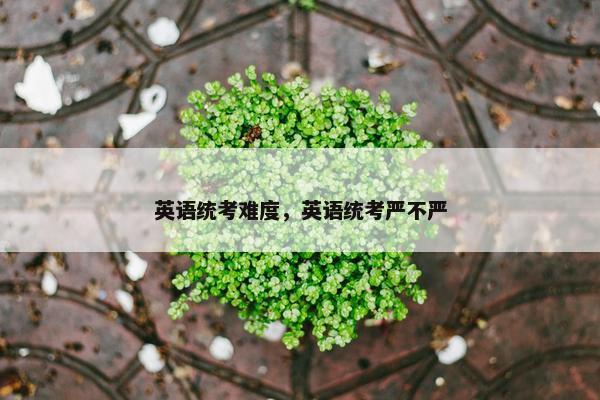 英语统考难度，英语统考严不严