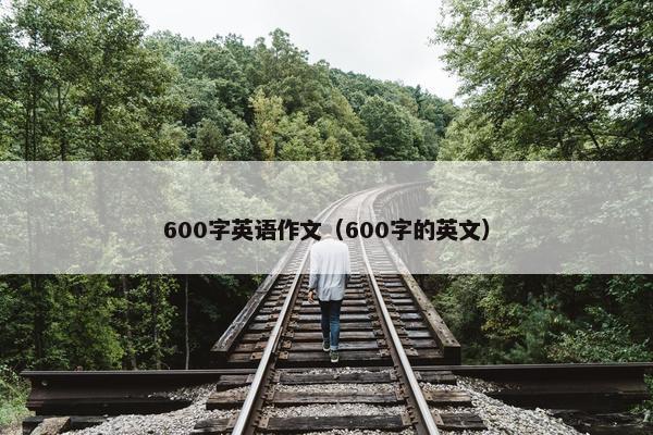 600字英语作文（600字的英文）