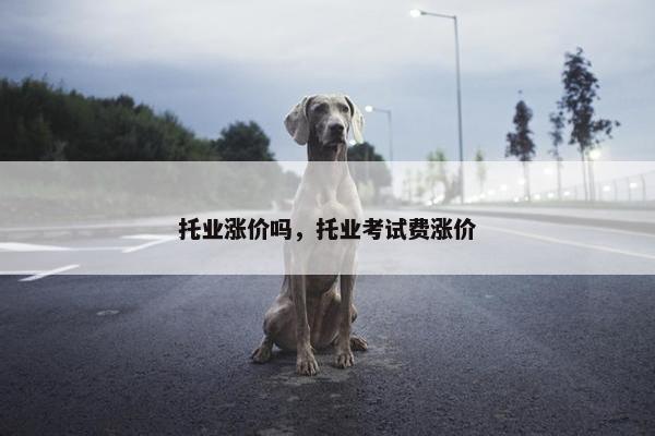 托业涨价吗，托业考试费涨价
