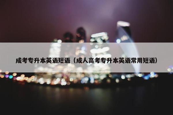 成考专升本英语短语（成人高考专升本英语常用短语）