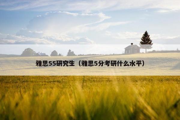 雅思55研究生（雅思5分考研什么水平）