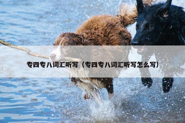 专四专八词汇听写（专四专八词汇听写怎么写）