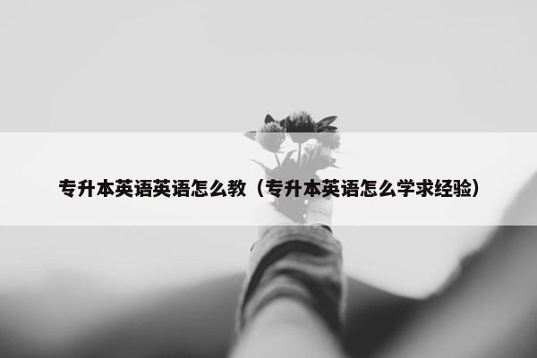 专升本英语英语怎么教（专升本英语怎么学求经验）