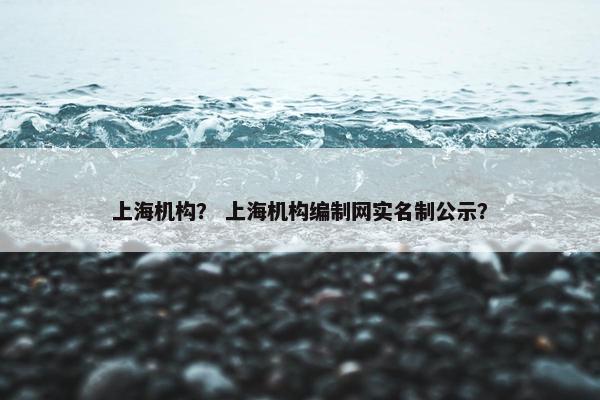 上海机构？ 上海机构编制网实名制公示？