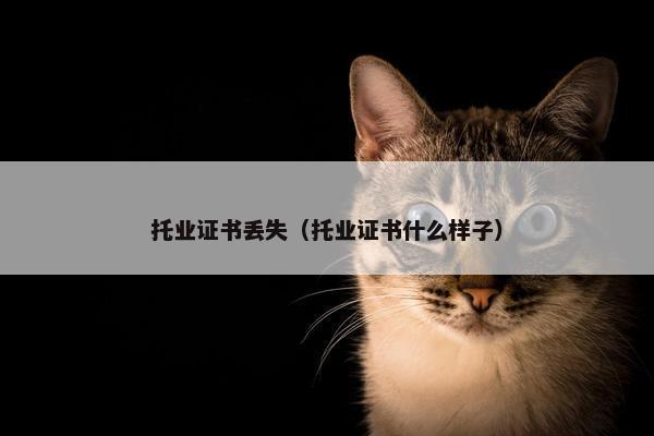 托业证书丢失（托业证书什么样子）