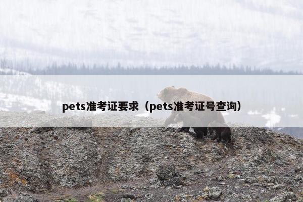 pets准考证要求（pets准考证号查询）