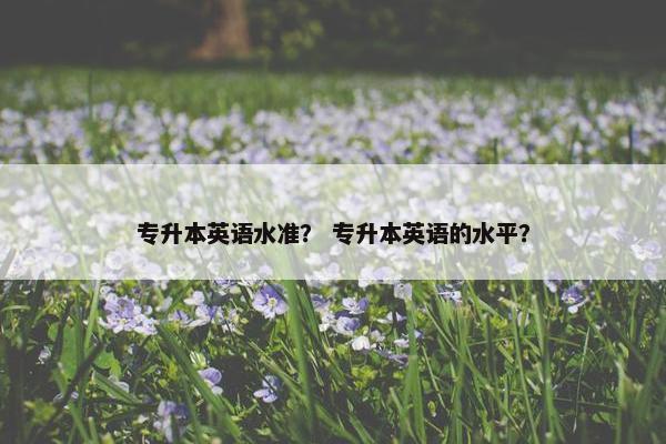 专升本英语水准？ 专升本英语的水平？