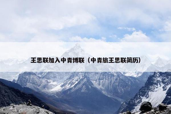 王思联加入中青博联（中青旅王思联简历）