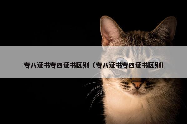 专八证书专四证书区别（专八证书专四证书区别）
