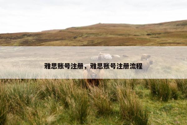 雅思账号注册，雅思账号注册流程