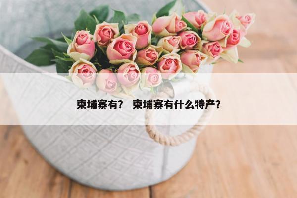 柬埔寨有？ 柬埔寨有什么特产？