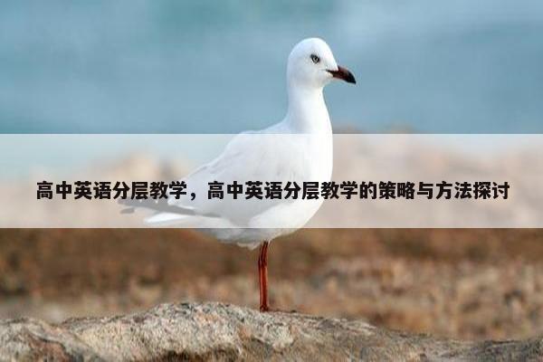 高中英语分层教学，高中英语分层教学的策略与方法探讨