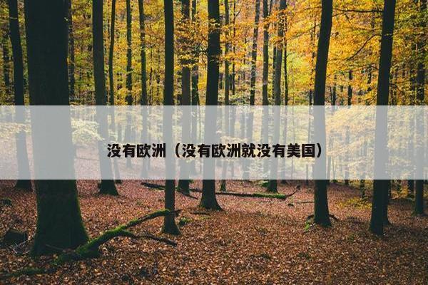 没有欧洲（没有欧洲就没有美国）