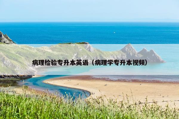 病理检验专升本英语（病理学专升本视频）