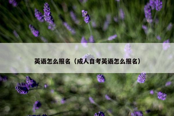 英语怎么报名（成人自考英语怎么报名）