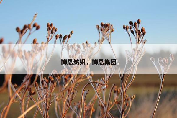 博思纺织，博思集团