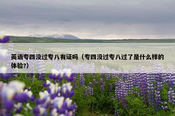 英语专四没过专八有证吗（专四没过专八过了是什么样的体验?）