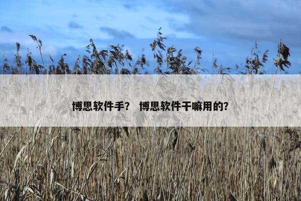 博思软件手？ 博思软件干嘛用的？
