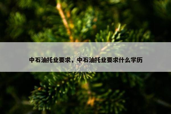 中石油托业要求，中石油托业要求什么学历
