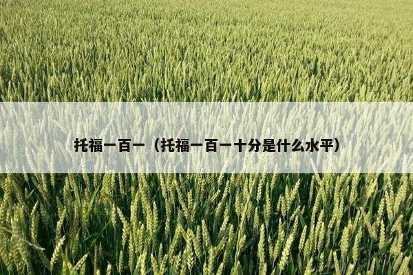 托福一百一（托福一百一十分是什么水平）