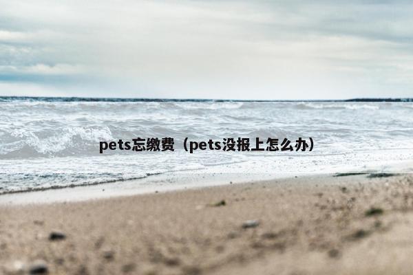 pets忘缴费（pets没报上怎么办）